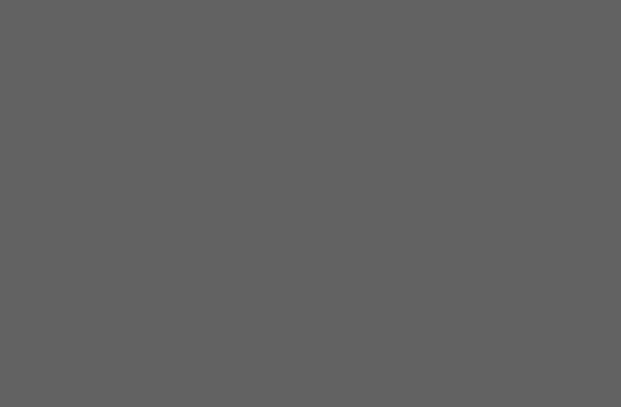LoremIpsum Logo